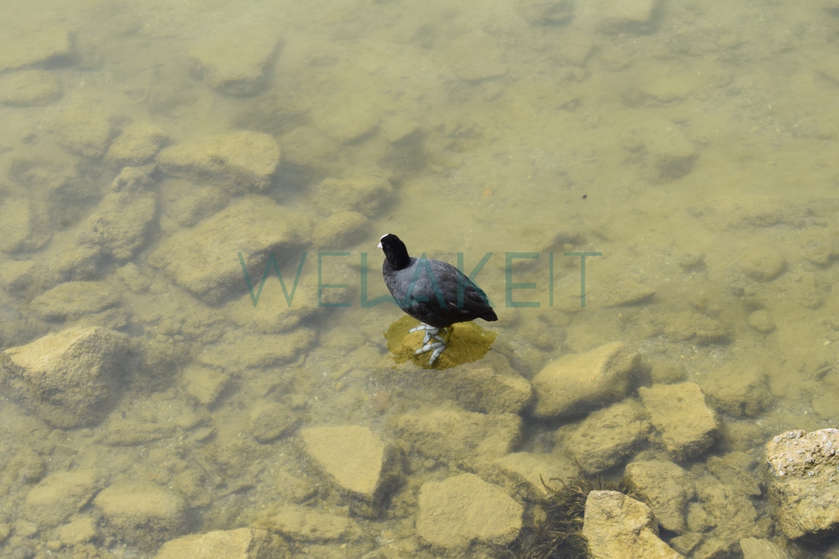 Lago-di-Piediluco-