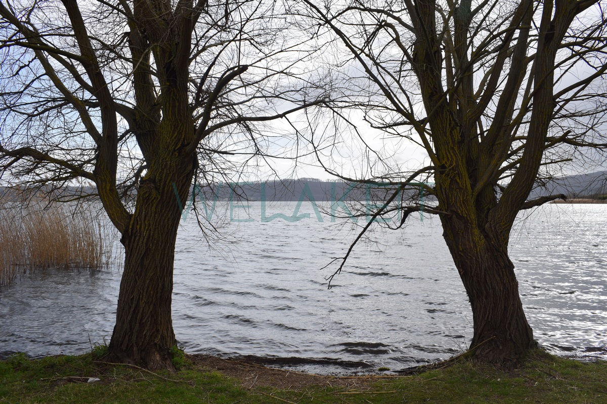 Lago-di-Vico-lungolago-