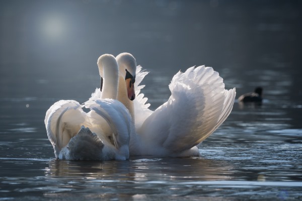 Vacanza romantica in pieno relax